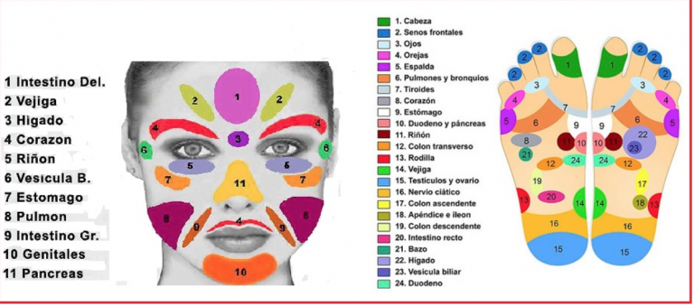 reflexologia