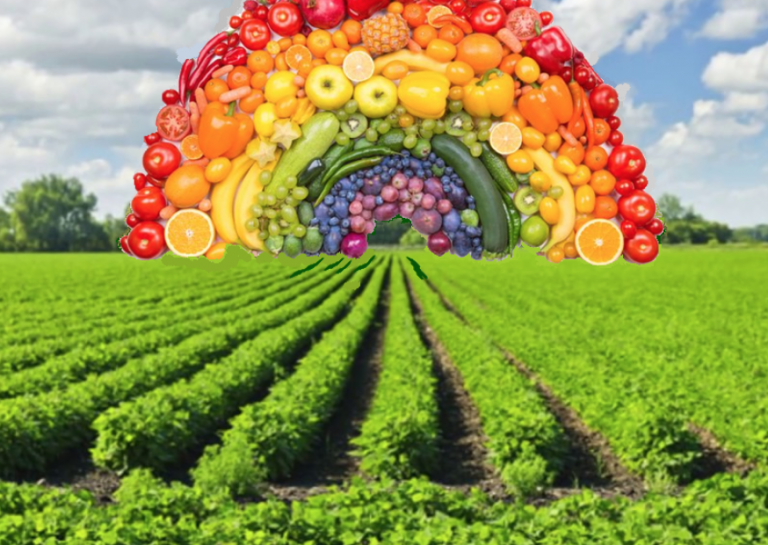 arco iris de la salud