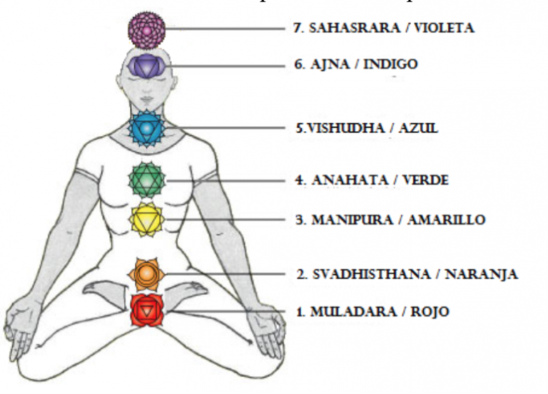 Chakras y cuerpo humano