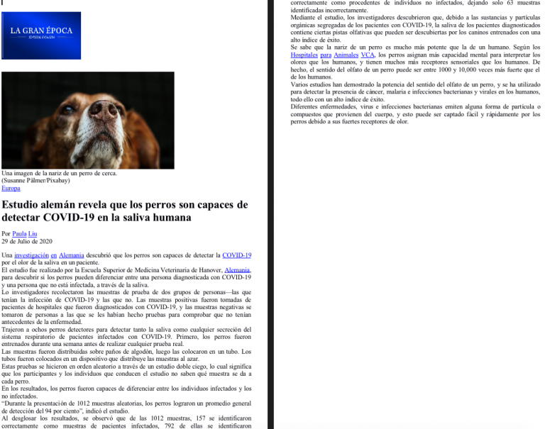 estudio aleman revela que los perros son capaces de detectar covid 19 en la saliva humana Jul 2020